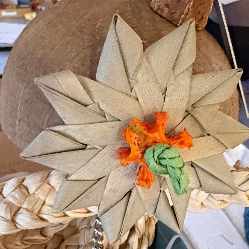 Natural Coconut Bird Toy with Orange Accents